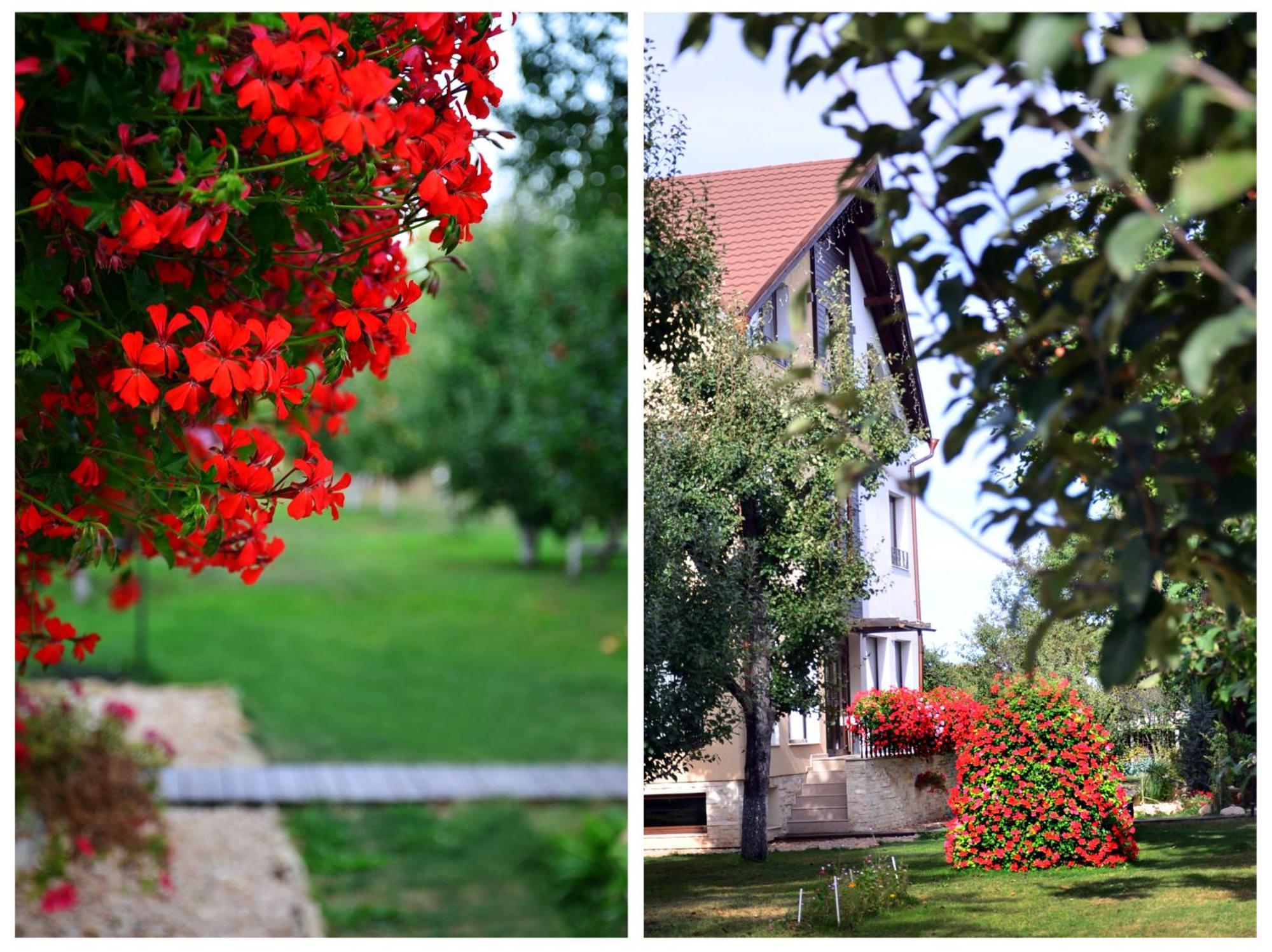 Stupina Hotel Brasov Exterior photo